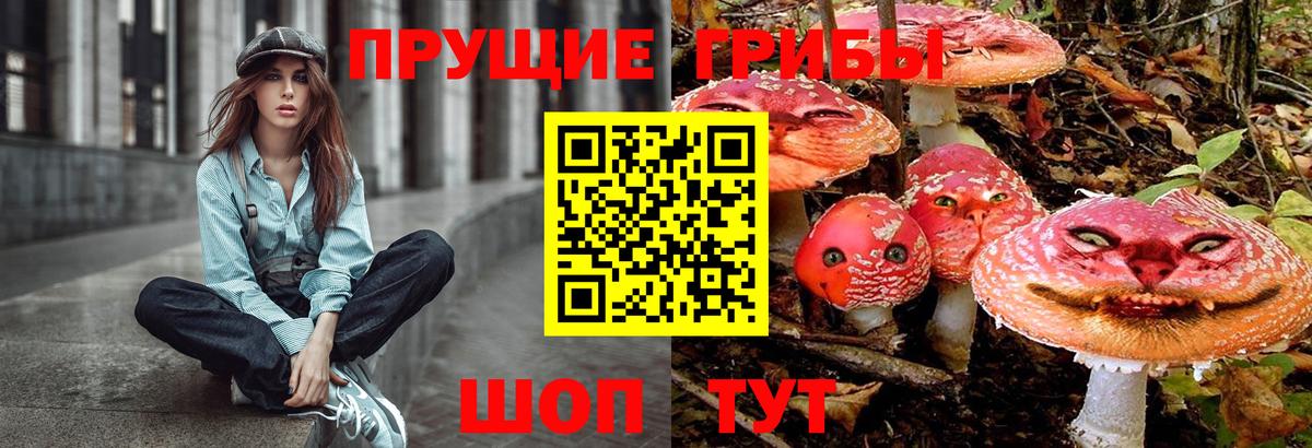 Галлюциногенные грибы GOLDEN TEACHER Керчь